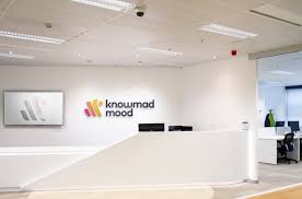Knowmad Mood