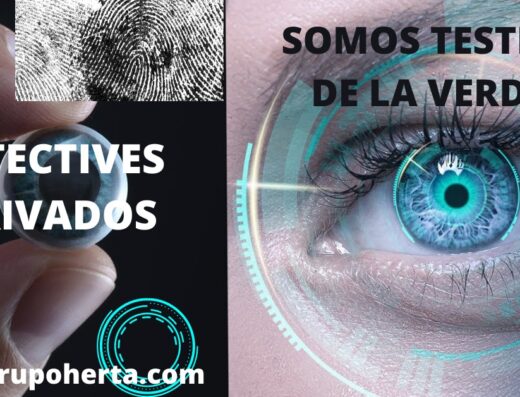 Grupo Herta Detectives